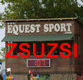 Zsuzsi