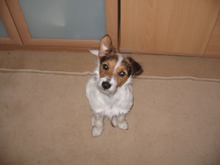 Max