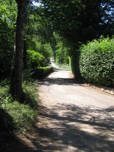 ösvény