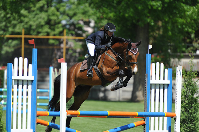 Equest Balou Belle