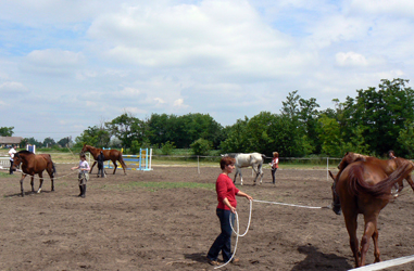 horsemanship kurzus