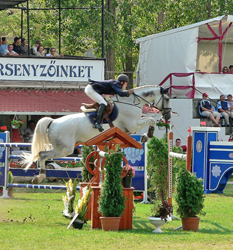 Steffen Hauter - Cash 2007. Kiskunhalas