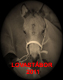 lovastábor 2011
